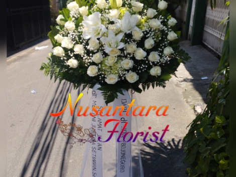 WhatsApp Image 2024-03-31 at 12.47.49 PM