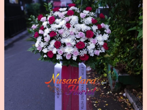 WhatsApp Image 2024-03-31 at 12.47.51 PM (1)