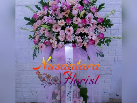 WhatsApp Image 2024-03-31 at 12.47.52 PM