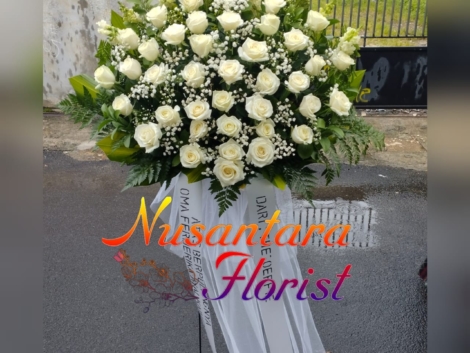 WhatsApp Image 2024-03-31 at 2.50.34 PM